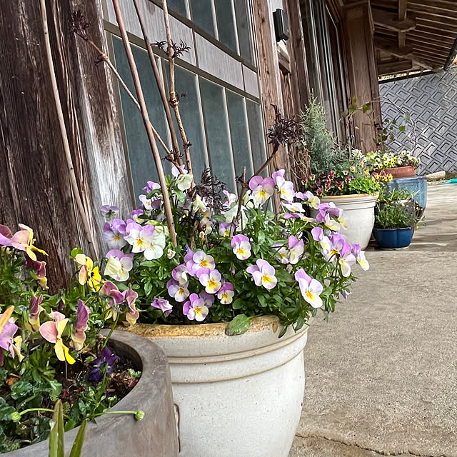 cota2さんの部屋