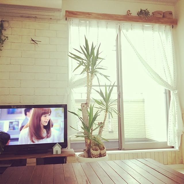 y_mommyさんの実例写真