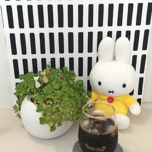 koroさんの実例写真