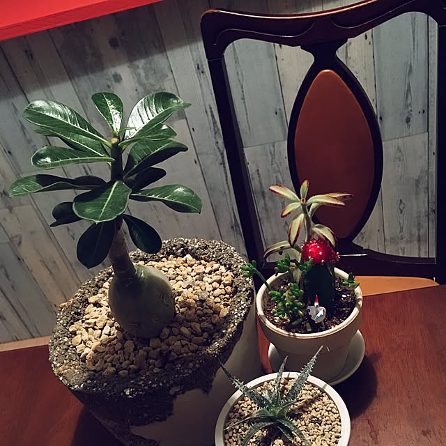 shigeroomさんの実例写真