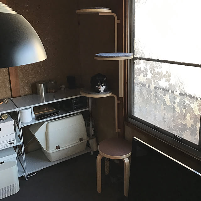 nejimakiさんの実例写真
