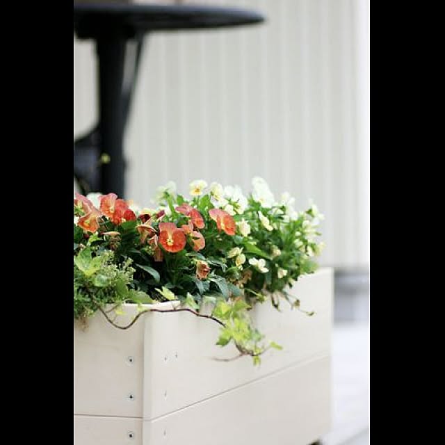 garden_life_saiさんの実例写真