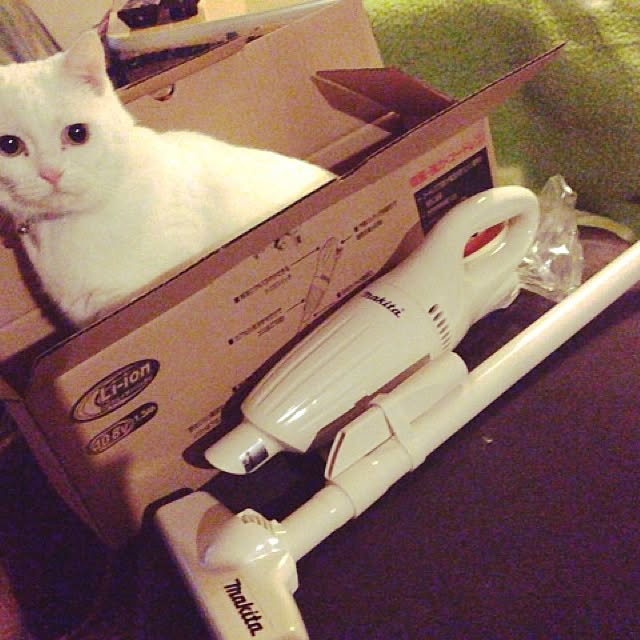 matatabi88さんの実例写真