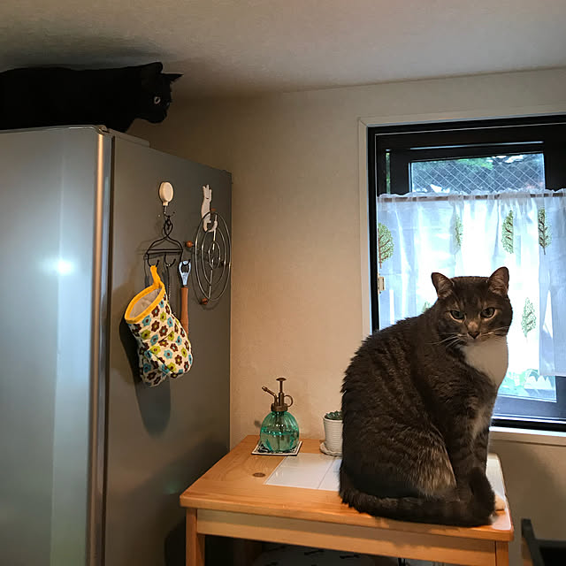 Machikoさんの実例写真