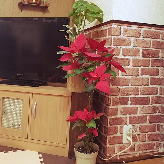 riemamaさんの実例写真