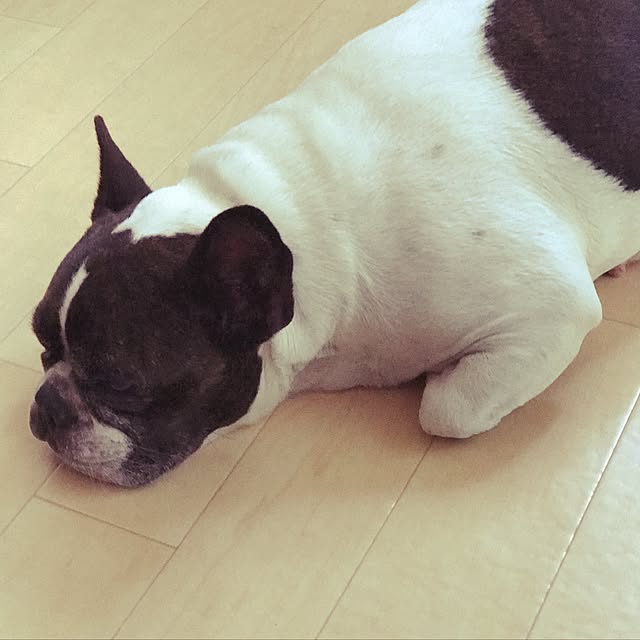 Momiさんの実例写真