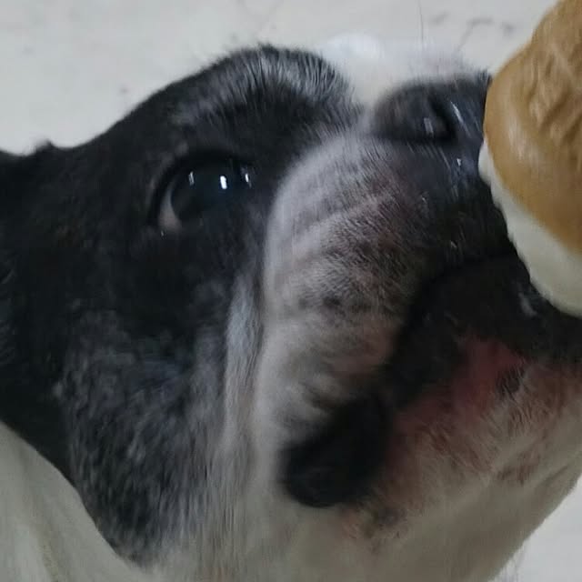 AandPさんの実例写真