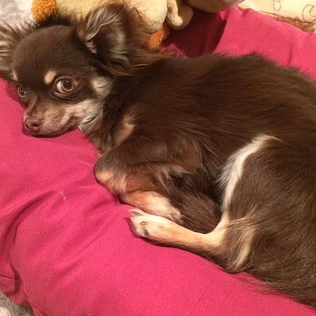 takaさんの実例写真