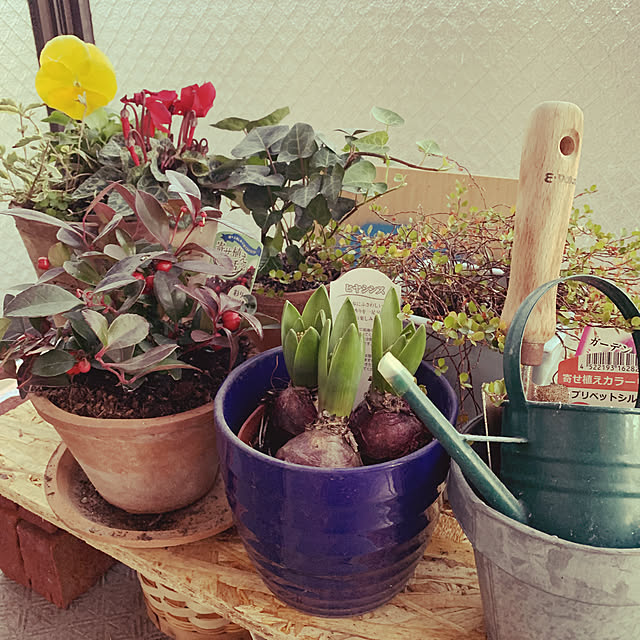 yuukiさんの実例写真