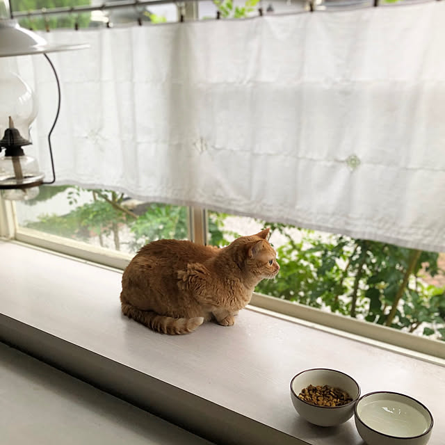 Yuukopeeeさんの実例写真