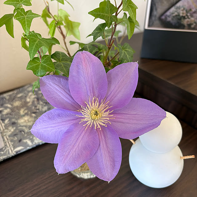 mikiさんの実例写真