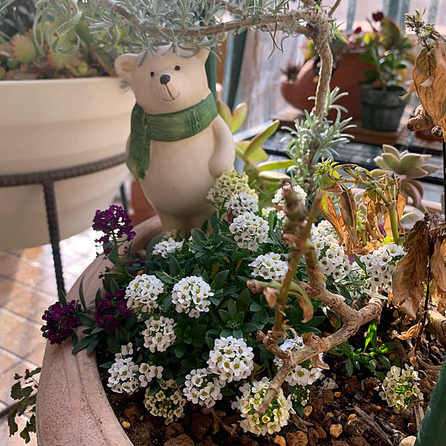 Aqettyさんの部屋