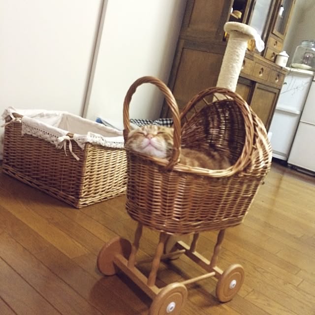fu-toraさんの実例写真