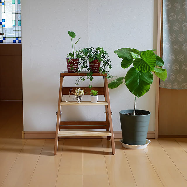 moku2さんの実例写真