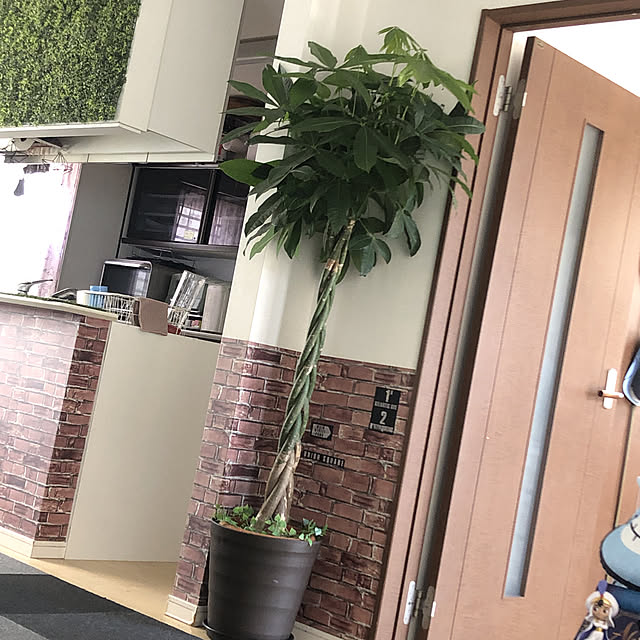 Manaさんの実例写真
