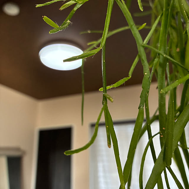 325unさんの実例写真