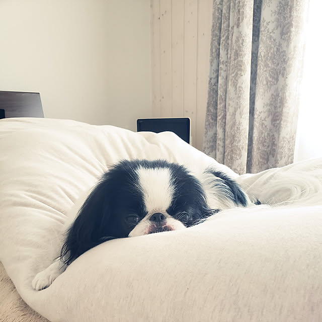 sanoaさんの実例写真