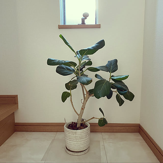 mocoさんの実例写真