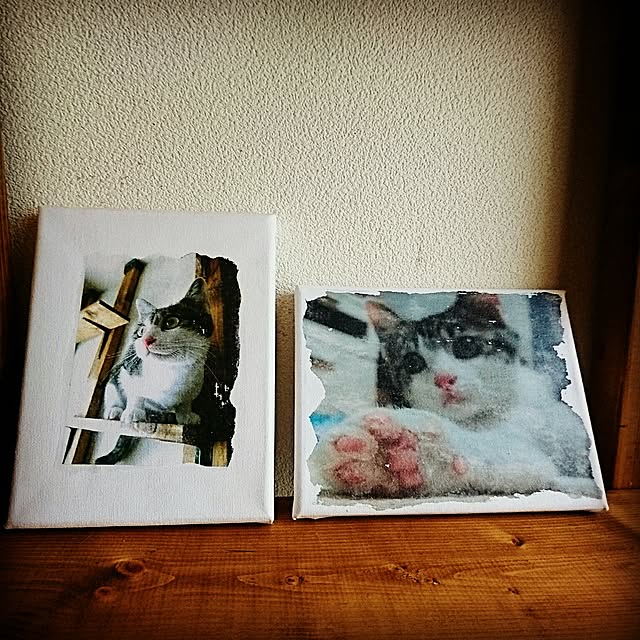 kiraさんの実例写真