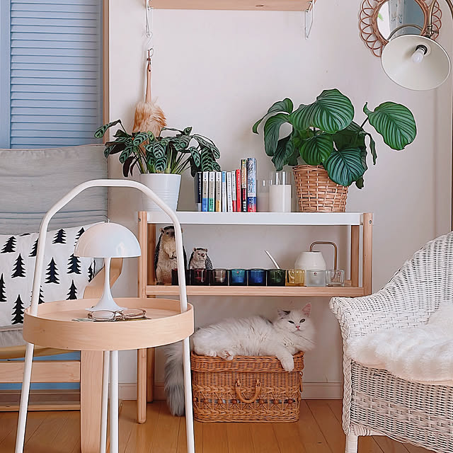 milkcocoaさんの実例写真