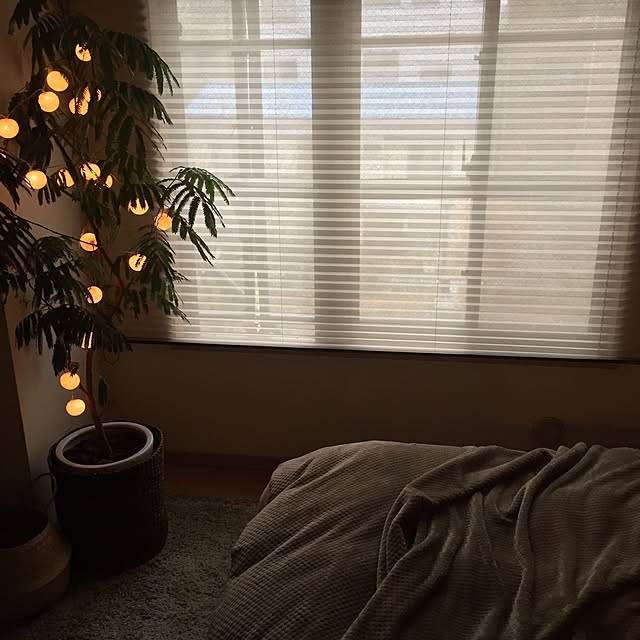 shinさんの実例写真