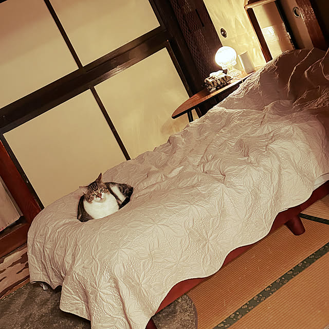 choroさんの実例写真