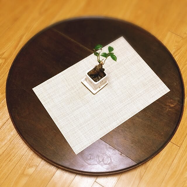 nadyさんの実例写真