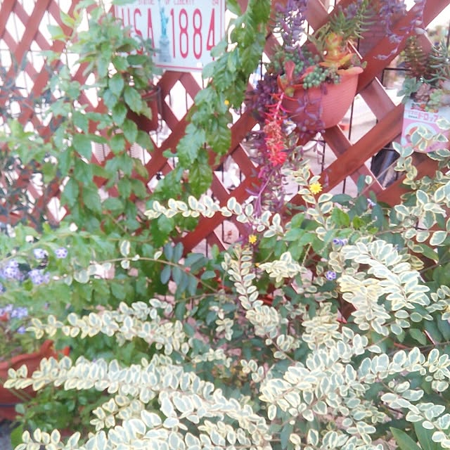 VERANDARJUNさんの実例写真