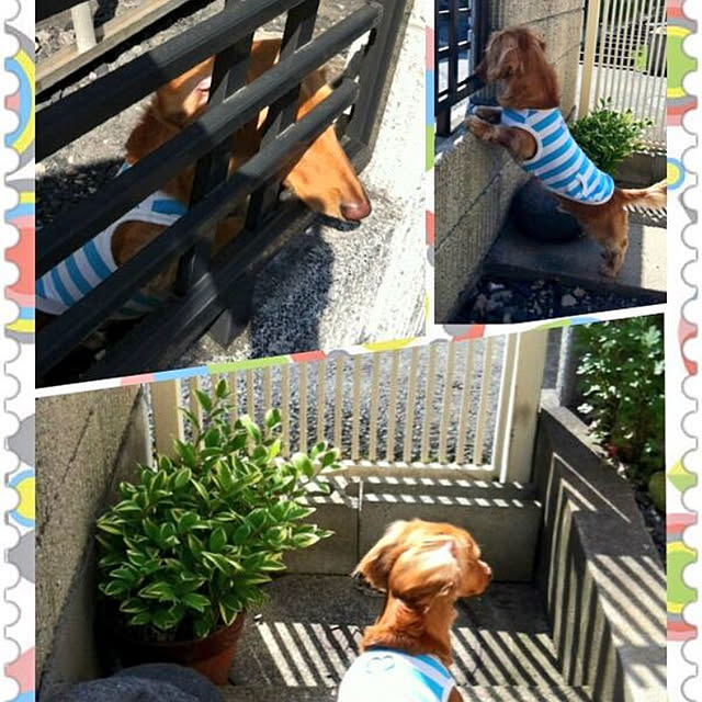 yurincaさんの実例写真