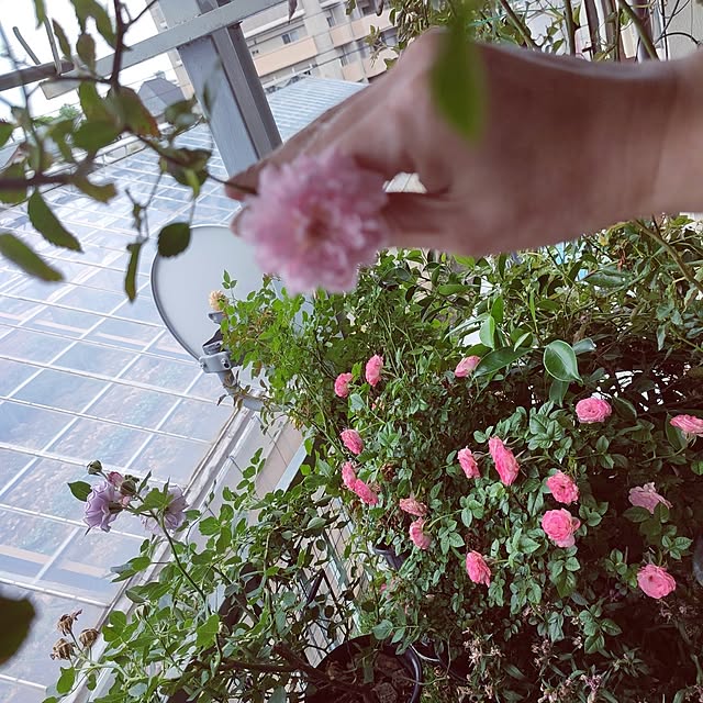 Tackunさんの実例写真