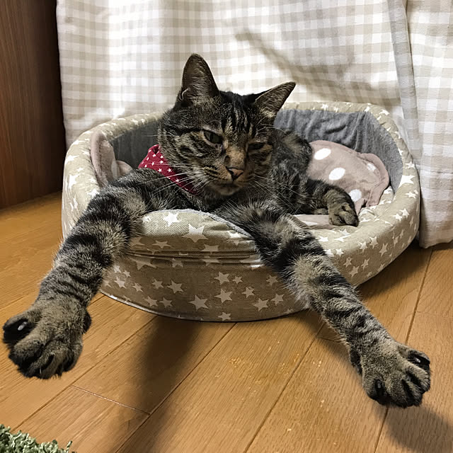 lalaさんの実例写真