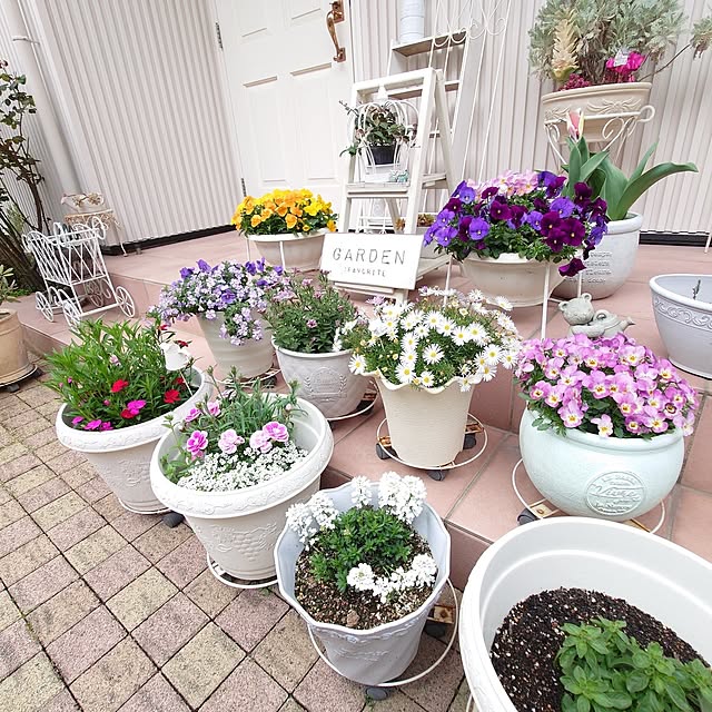 fleur-mamanさんの部屋