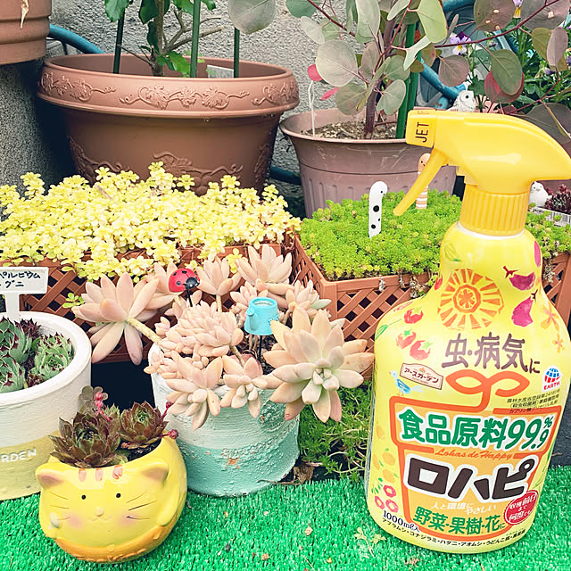 nannoさんの実例写真