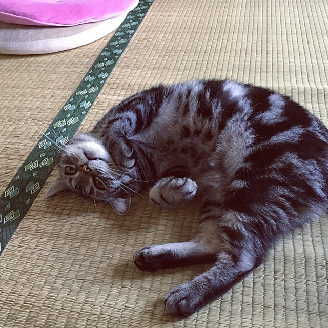 richanさんの実例写真