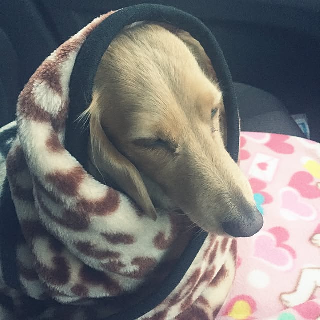 bibianさんの実例写真
