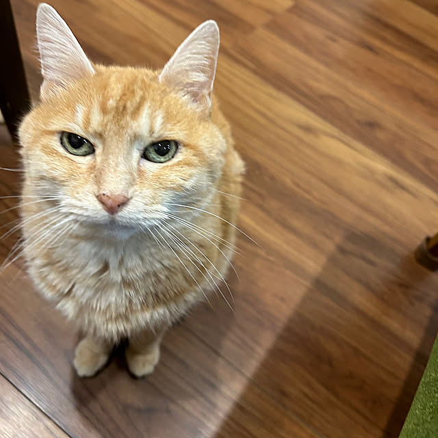 mikeume7さんの部屋