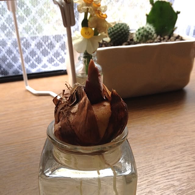 L.さんの実例写真