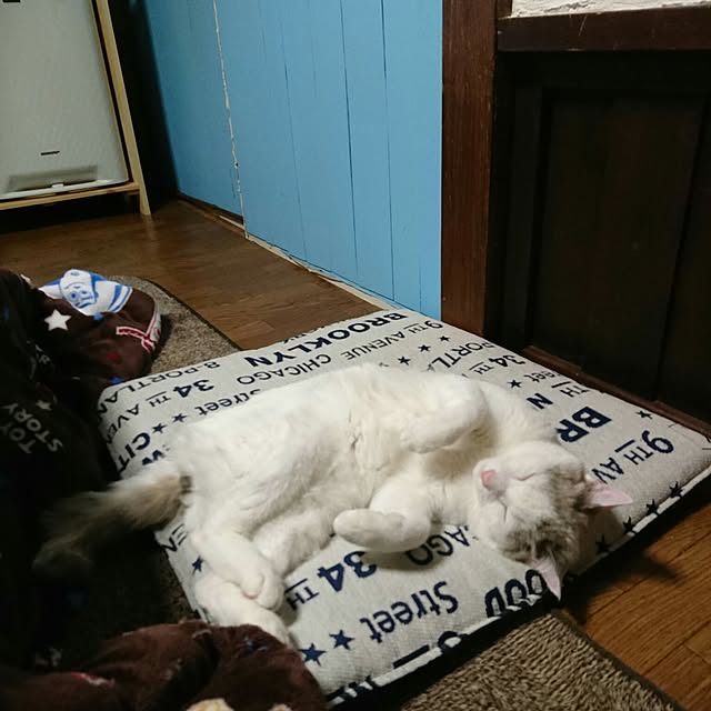 Marinyanさんの実例写真