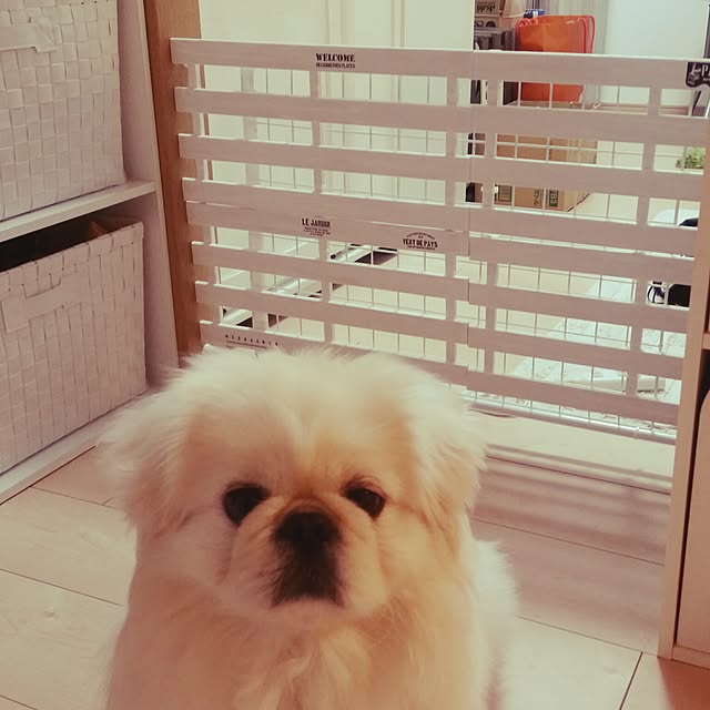 yukaiさんの実例写真
