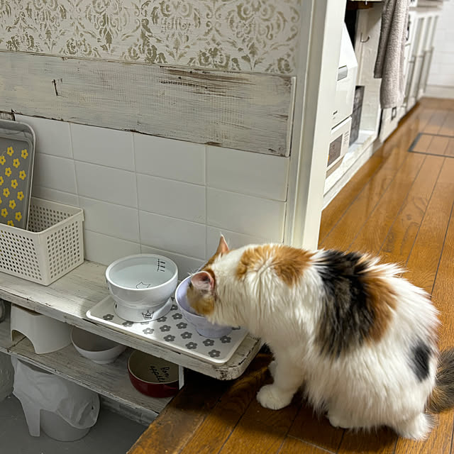 Mikazukiさんの部屋