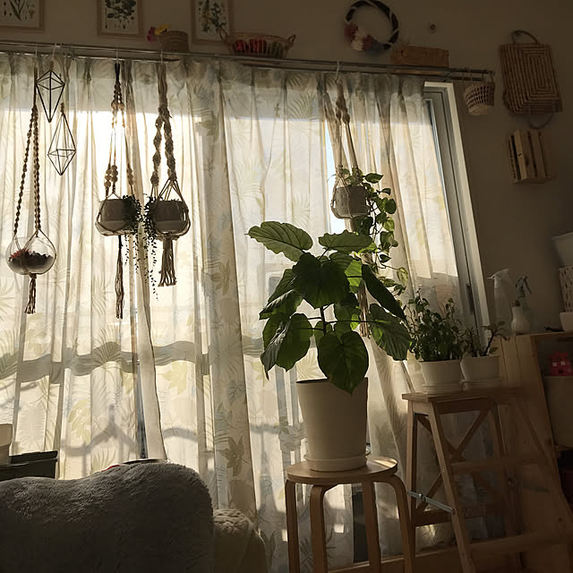 yuccoさんの実例写真