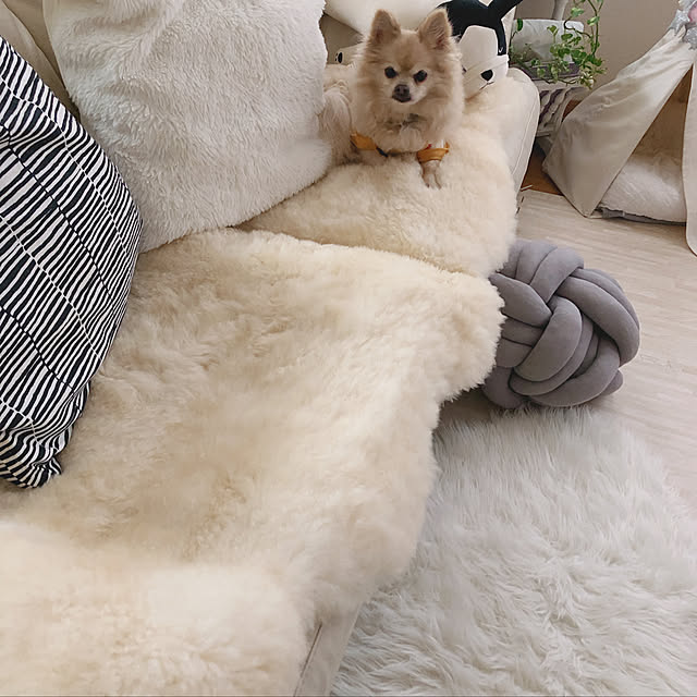 chocomamaさんの実例写真