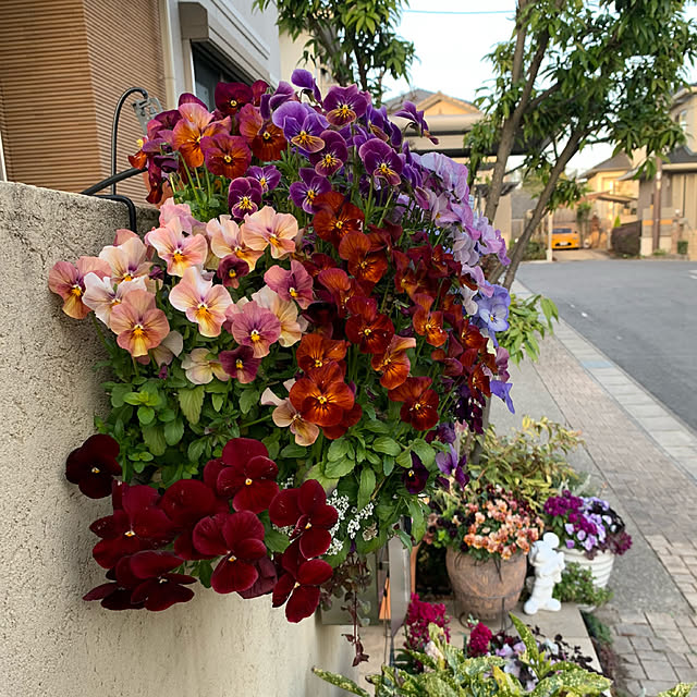 yukarin-gardenさんの実例写真