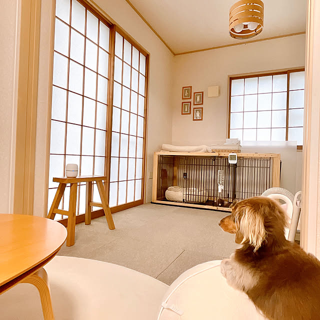 rinoさんの部屋