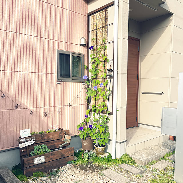 pekoさんの実例写真