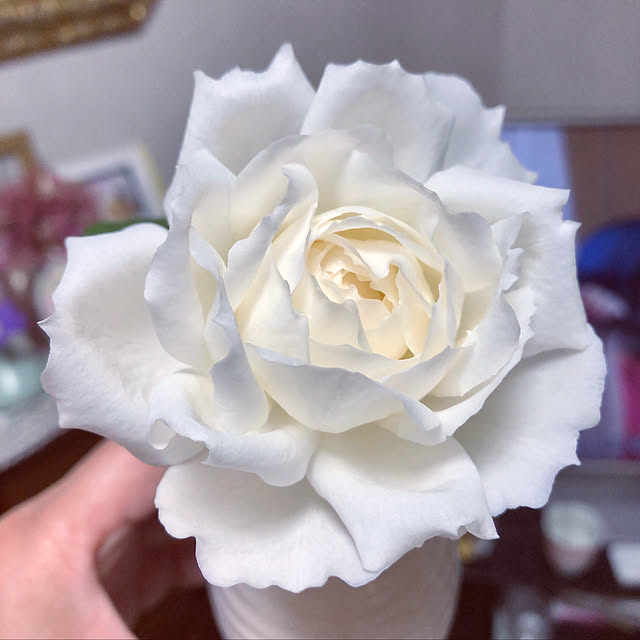 yuko25さんの実例写真