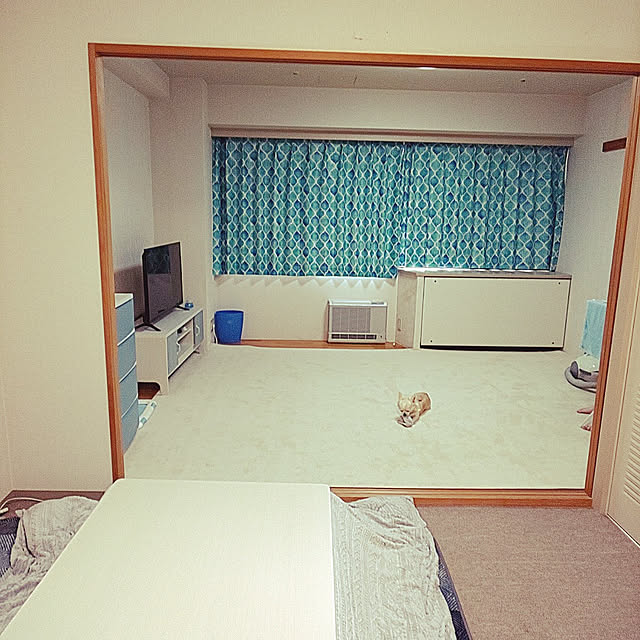hamieさんの実例写真