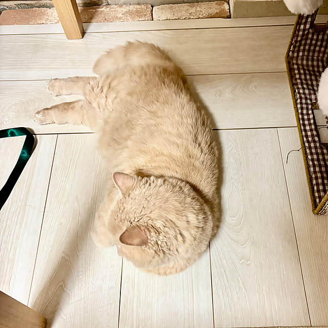 naokoさんの部屋