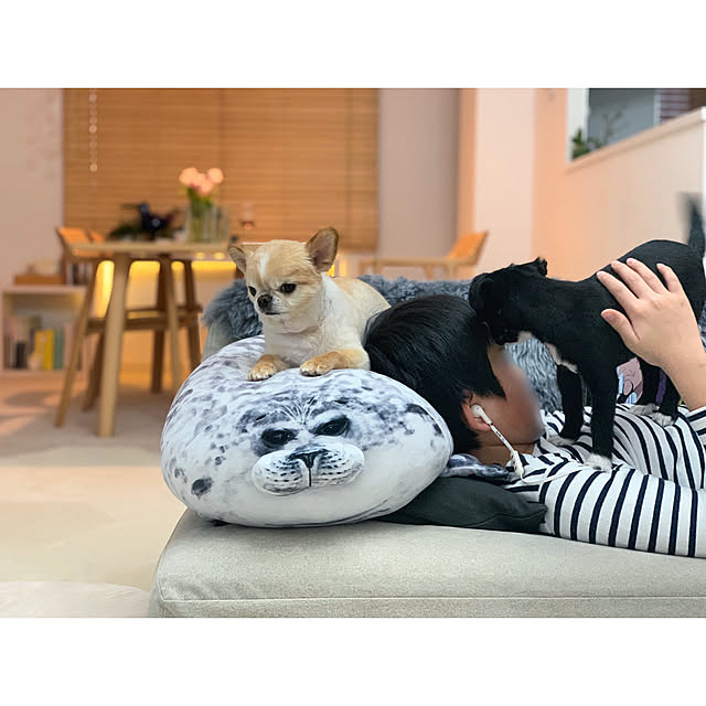 haruhinaさんの実例写真