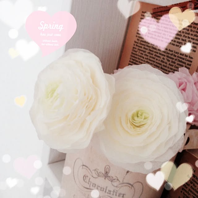 mariaさんの実例写真